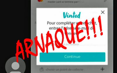 Témoignage arnaque Vinted : 800 € envolés en 5 min !